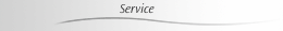 Service